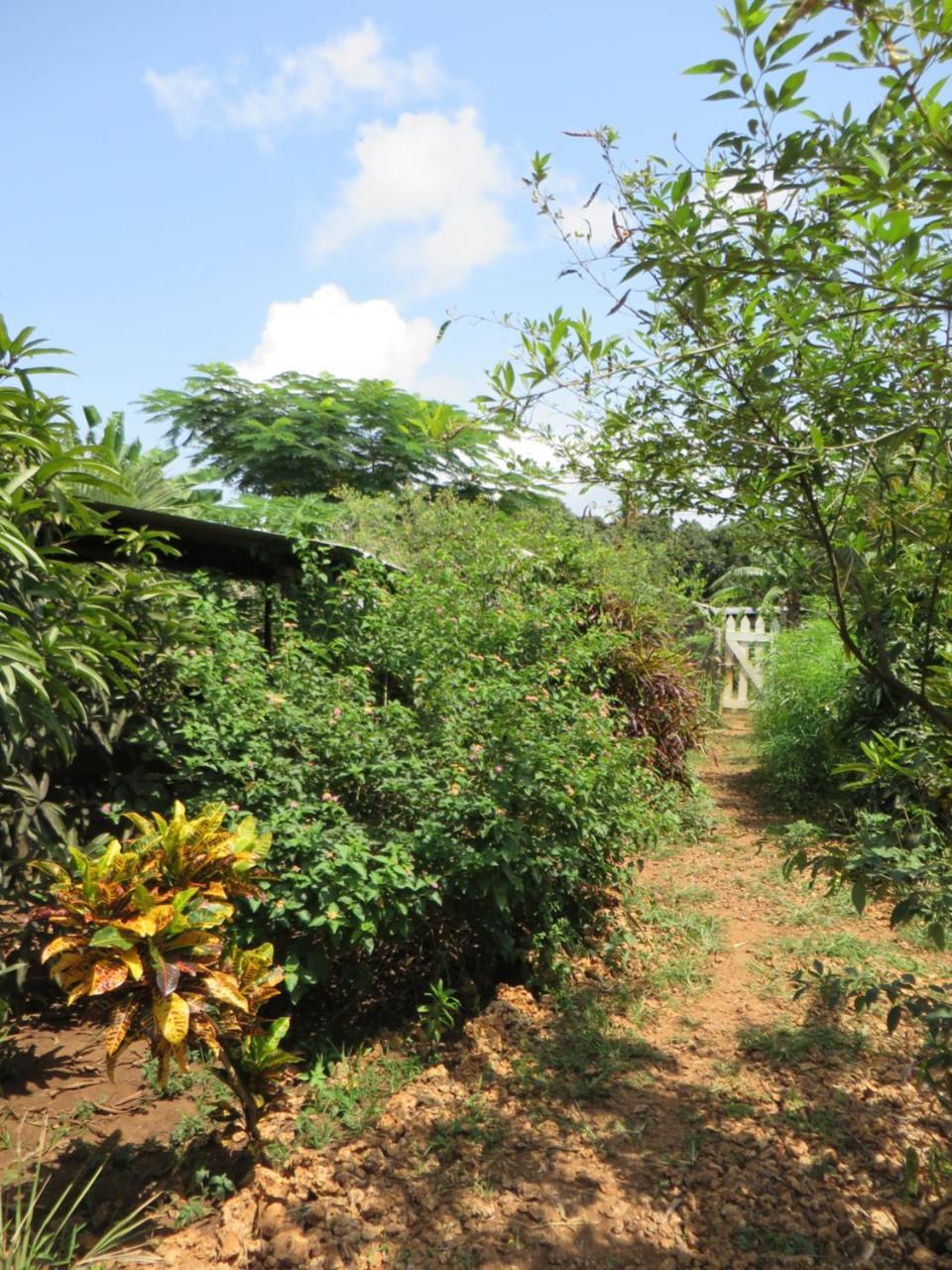Bahati Diani House Glamping Diani Beach Esterno foto