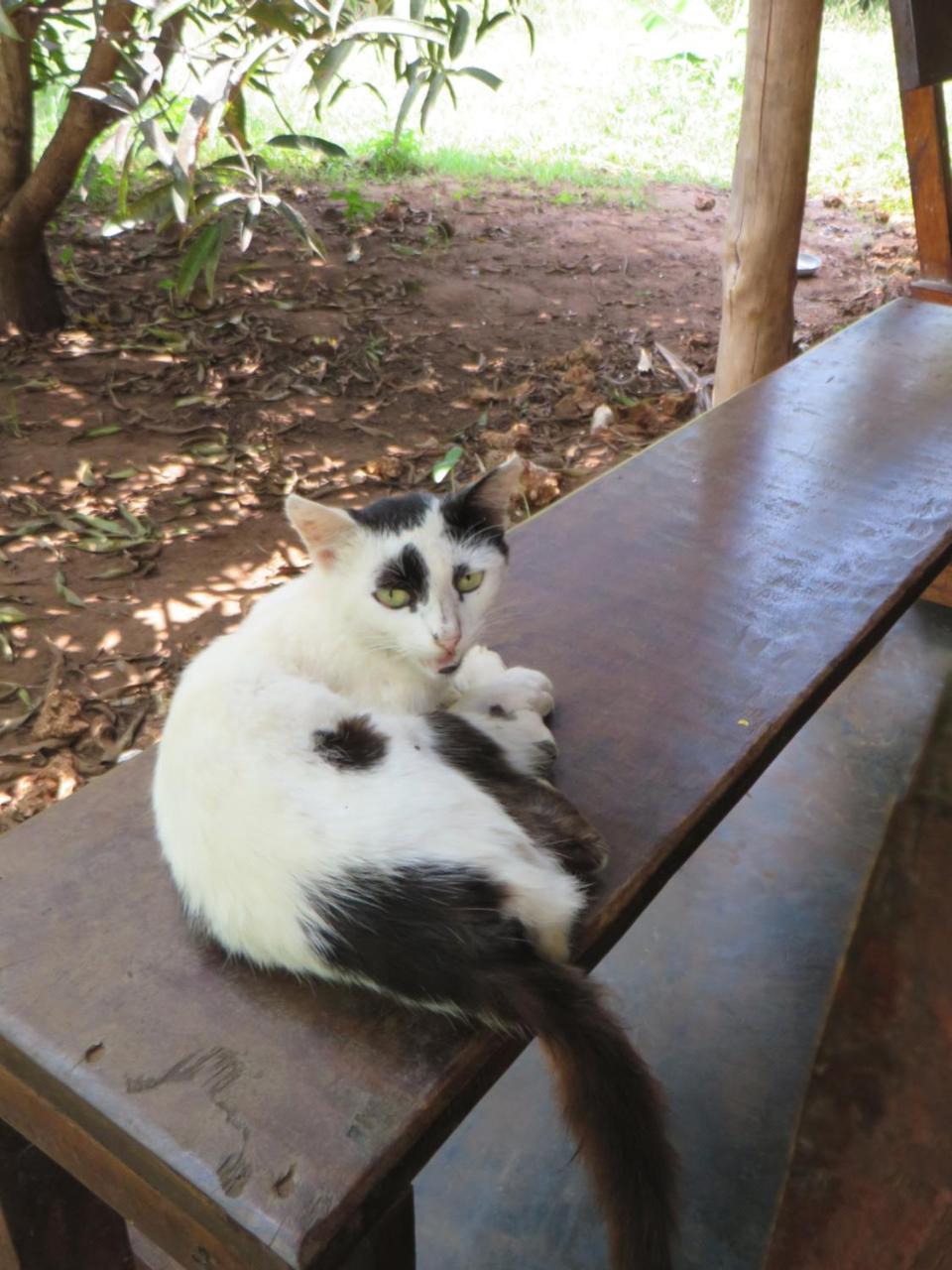 Bahati Diani House Glamping Diani Beach Esterno foto